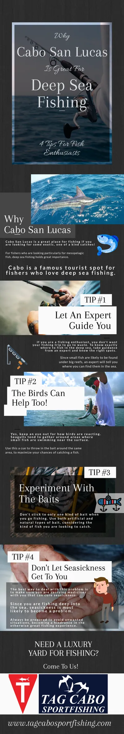 taginfograph