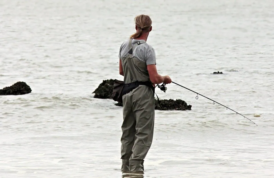 When Is The Best Time To Take A Fishing Trip To Cabo San Lucas?