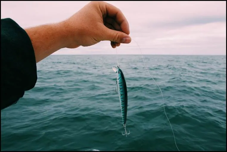 Fishing For Beginners? 4 Tips You Need to Be Mindful Of