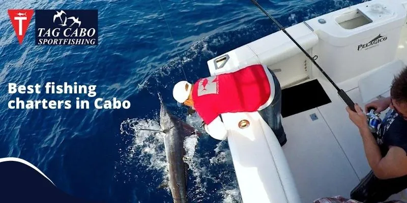 Understanding Fishing Rods Basics: Adventure with Fishing Charters