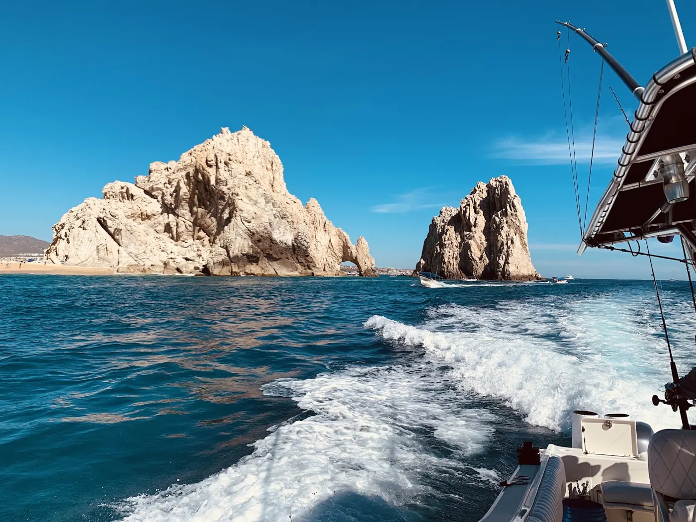 Catch photo shared by Nicole Eastman on their Tag Cabo Sportfishing review