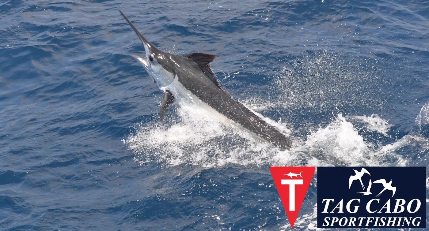 Cabo fishing report September 29th 2017
