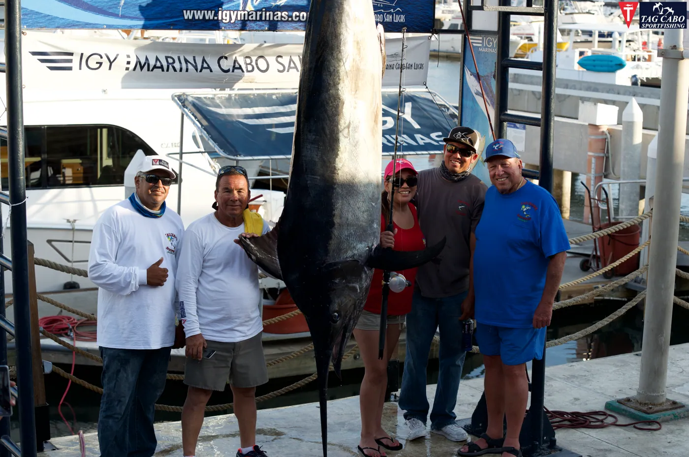 Cabo fishing reports/ Cabo fishing report July 2017