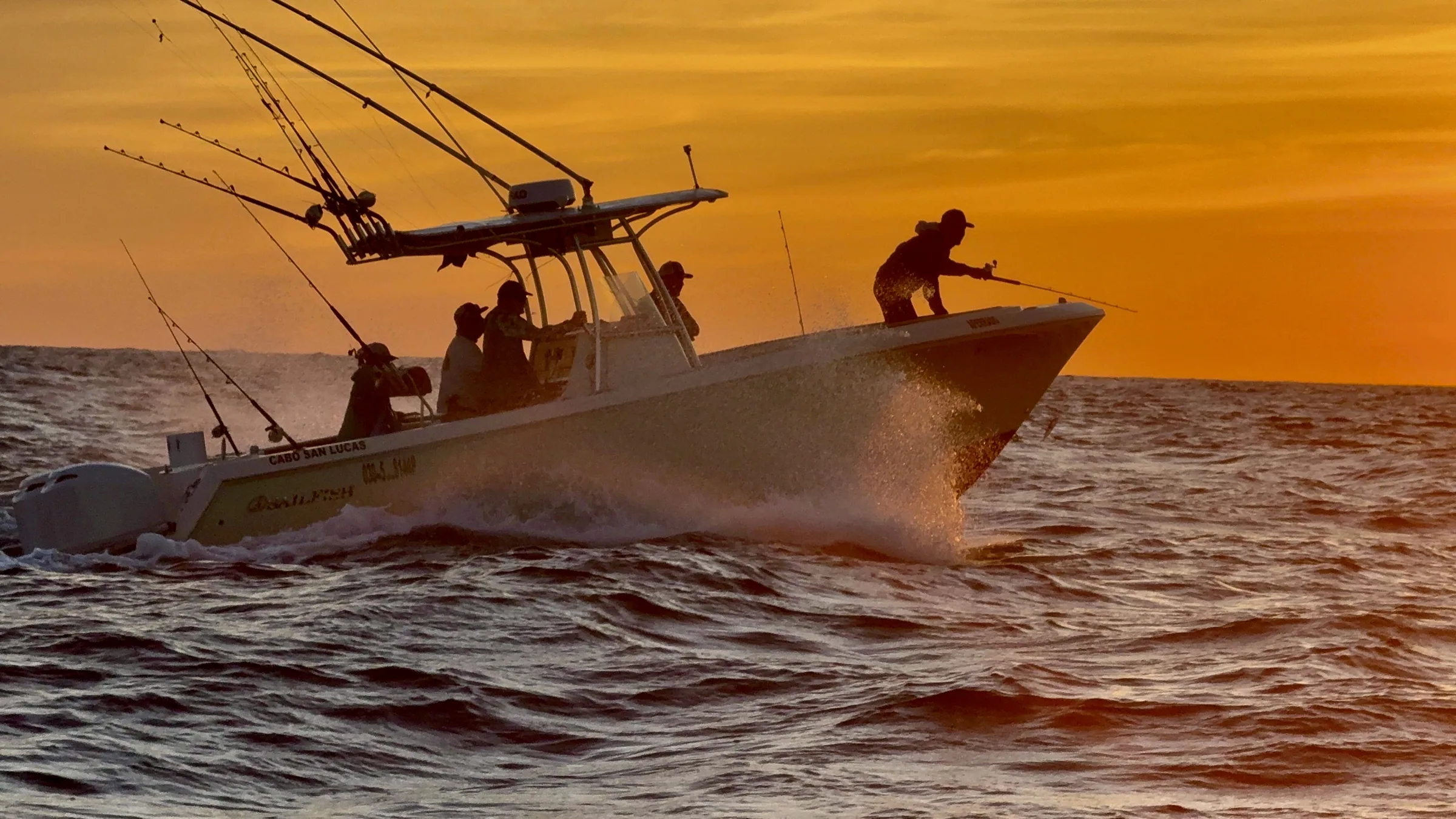 Fly Fishing in Cabo San Lucas