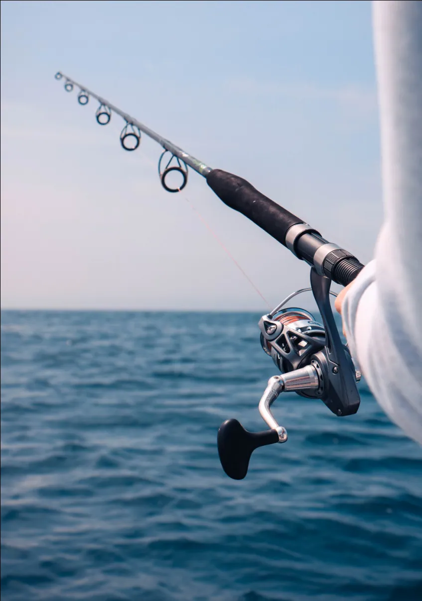 What Makes Fishing In Cabo San Lucas So Different From The Rest?