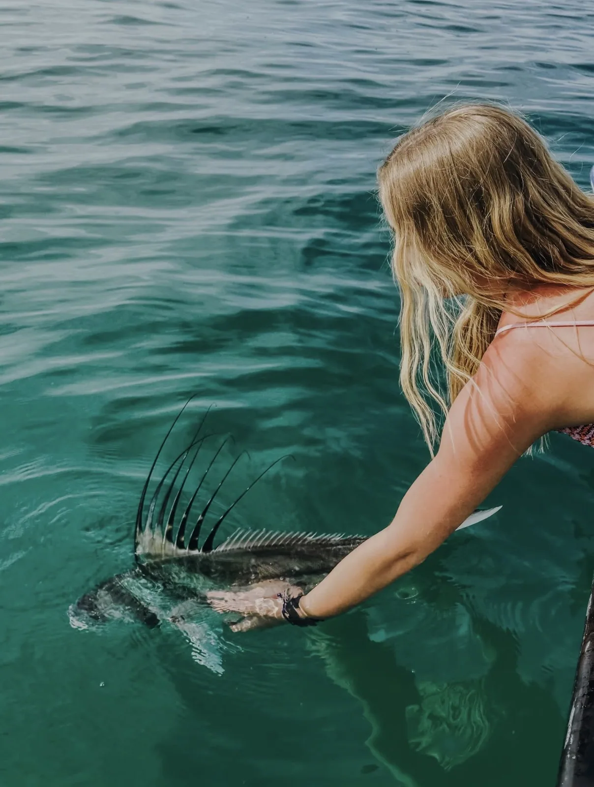 Cabo San Lucas sportfishing with Tag Cabo Sportfishing