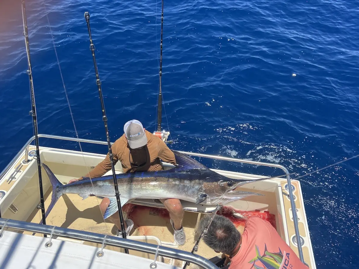 Catch photo shared by Keith Lusher Jr on their Tag Cabo Sportfishing review