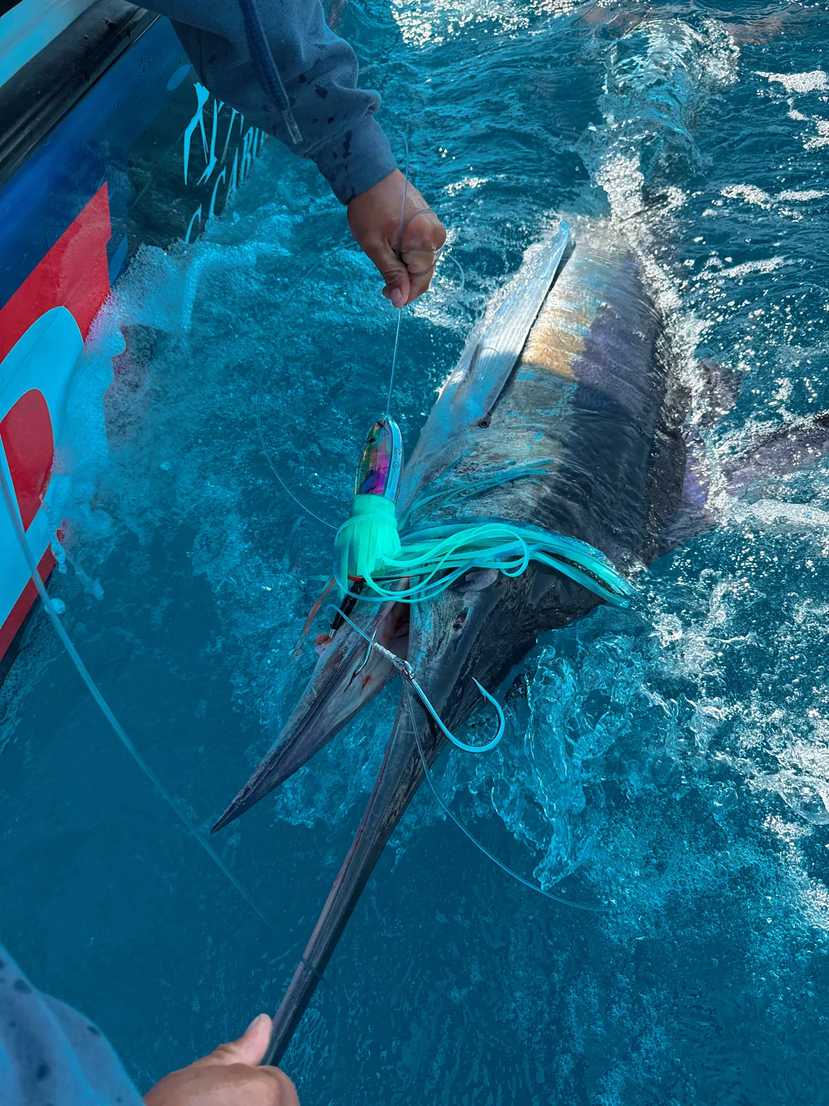 Cabo San Lucas sportfishing with Tag Cabo Sportfishing