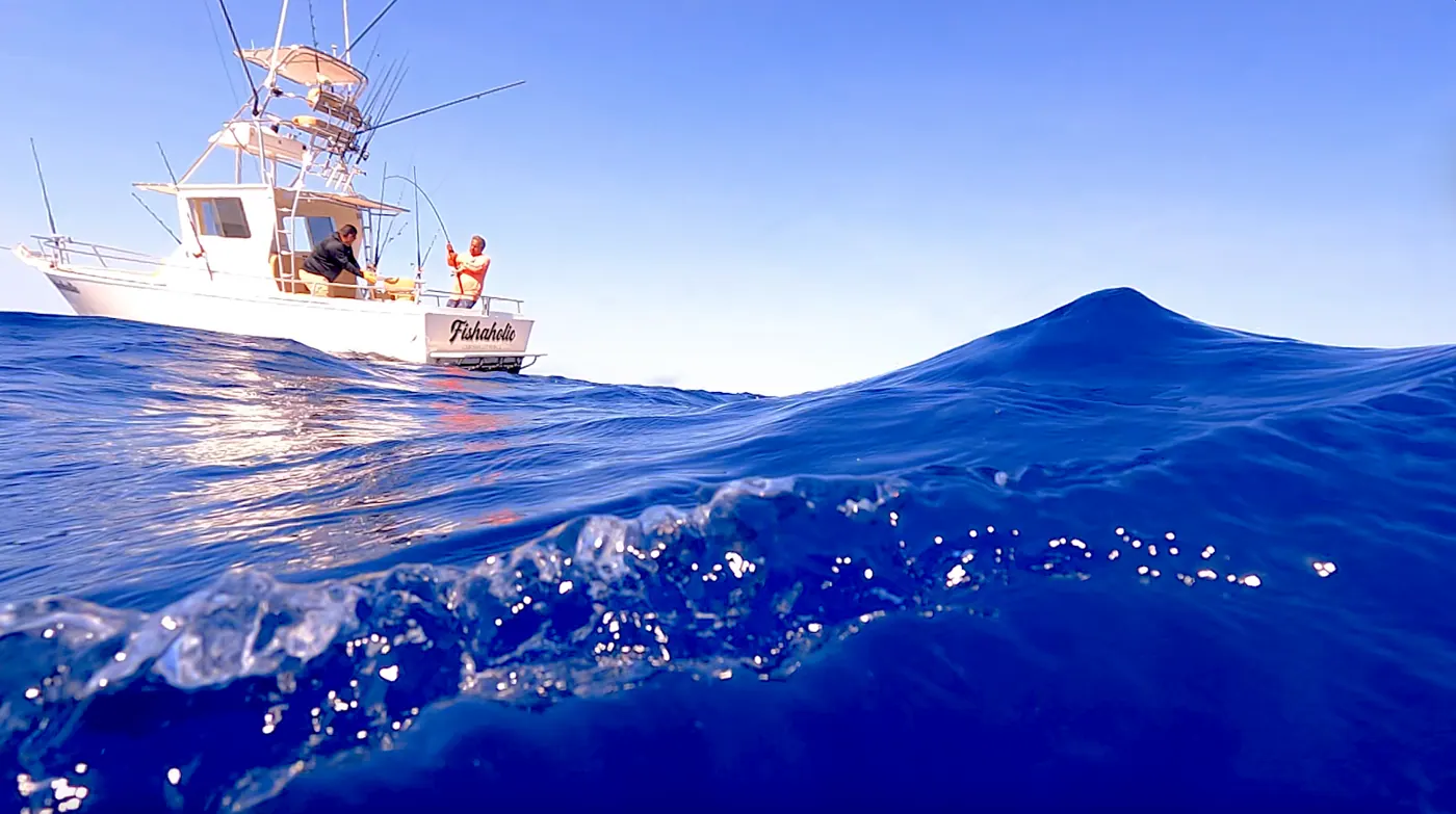 Catch photo shared by Keith Lusher Jr on their Tag Cabo Sportfishing review